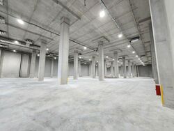 Platinum@pioneer (D22), Factory #540599771